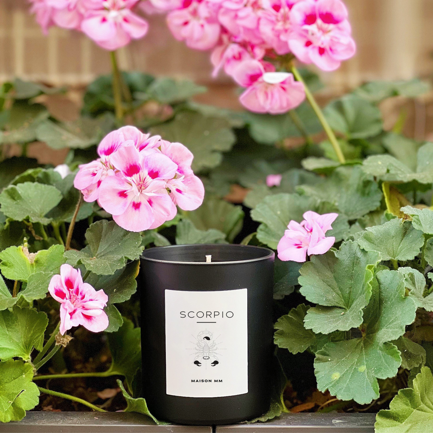 Maison MM Zodiac Scorpio Candle - Natural Wax
