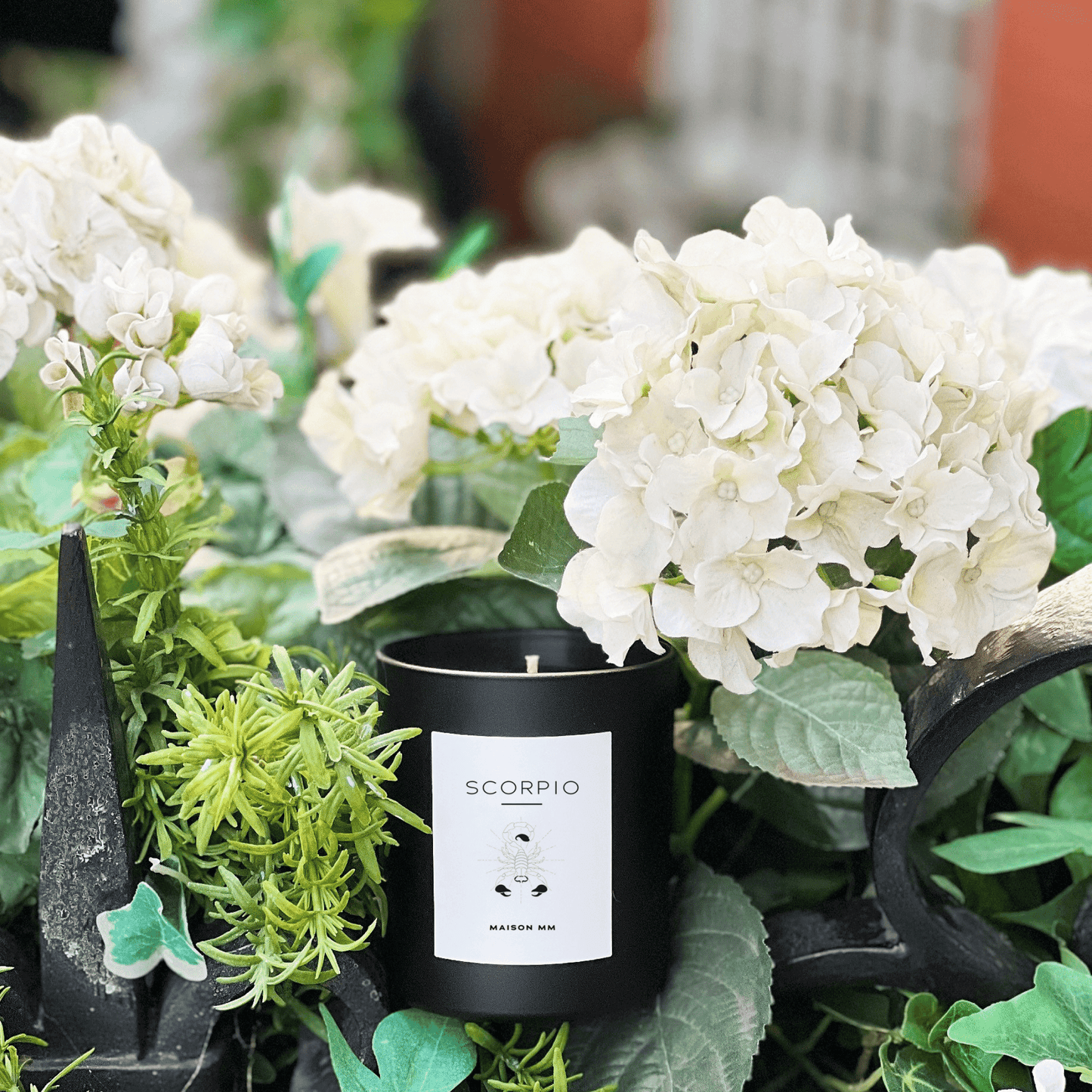 Maison MM Zodiac Scorpio Candle - Natural Wax